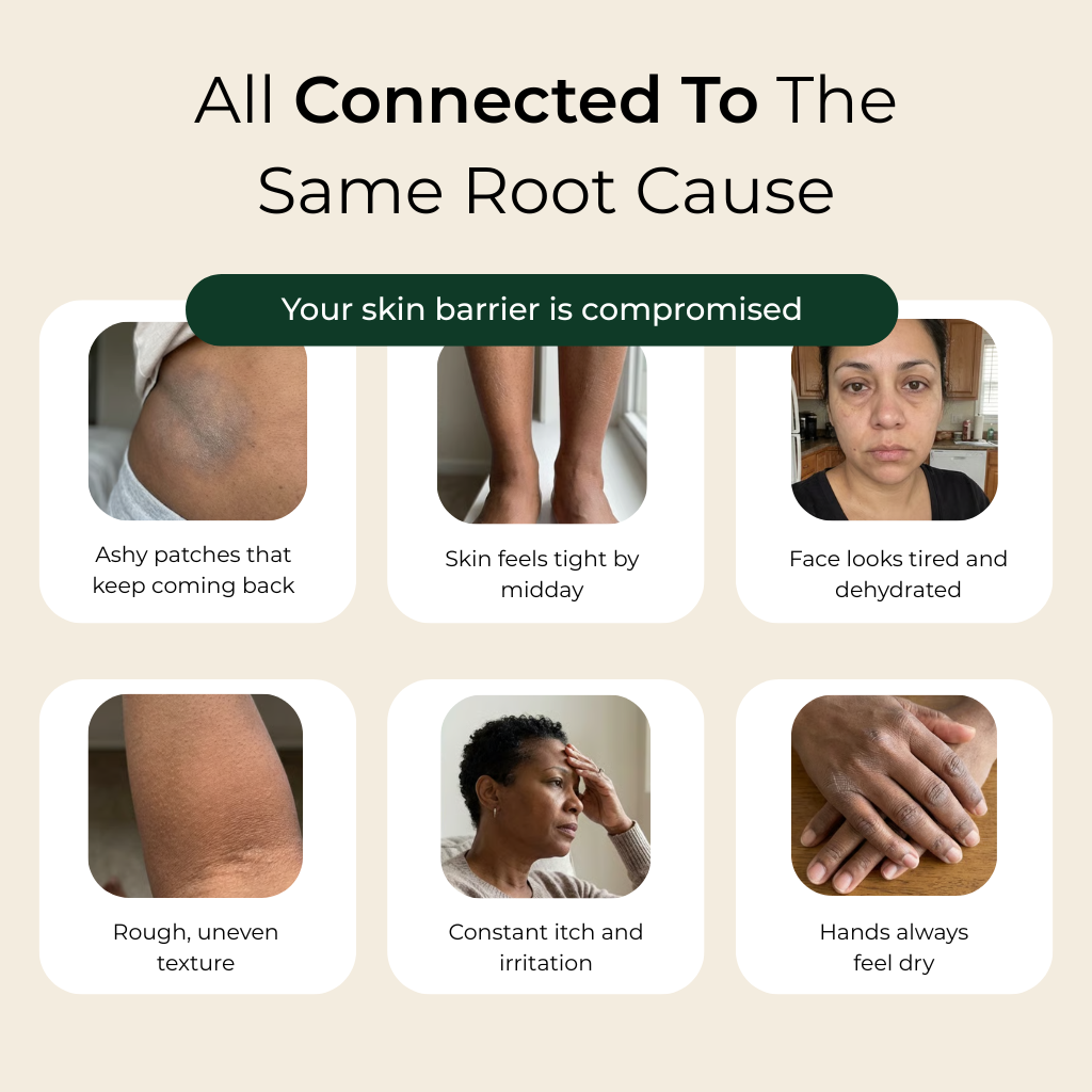 Pure Nilotica Shea Butter by Nilora™